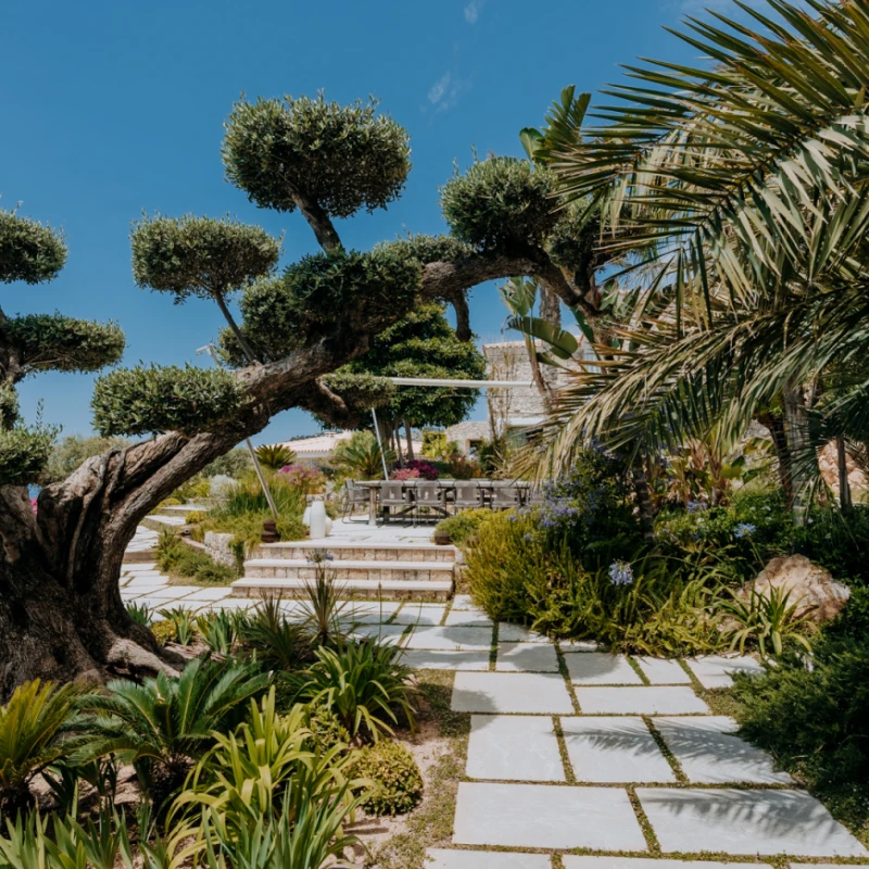 Villa outdoor area with tree