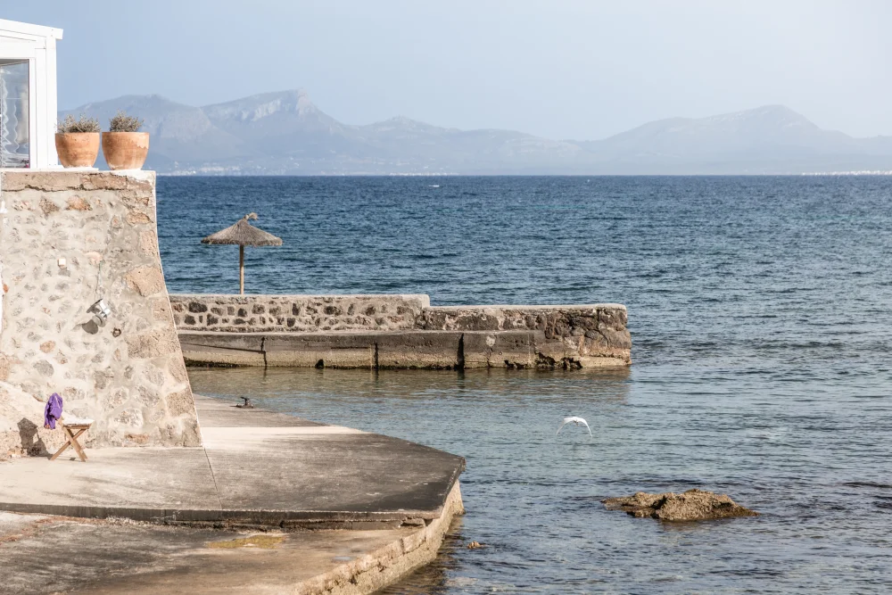 Alacanada, Mallorca