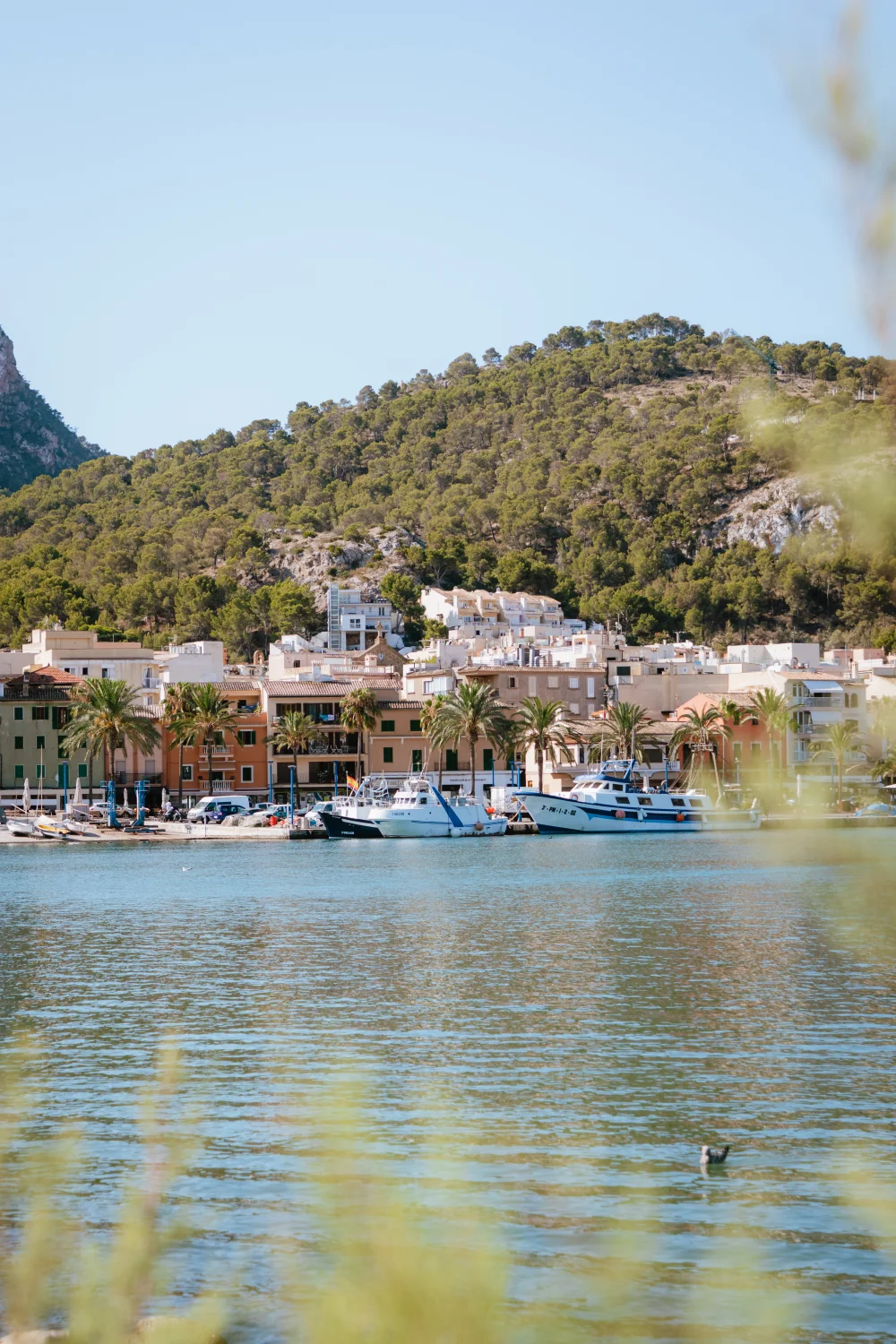 The South-West, Mallorca