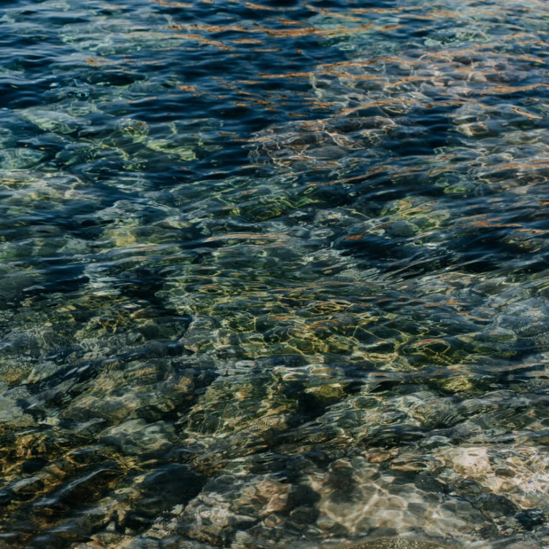 Still shot of the sea